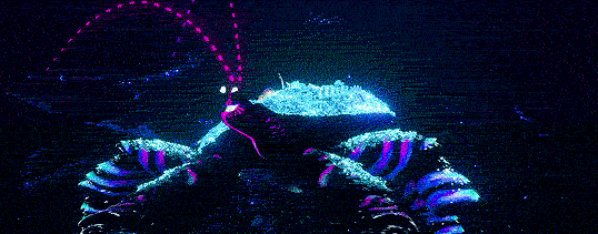 attention au matérialisme, c'est ce que le personnage de Tamatoa