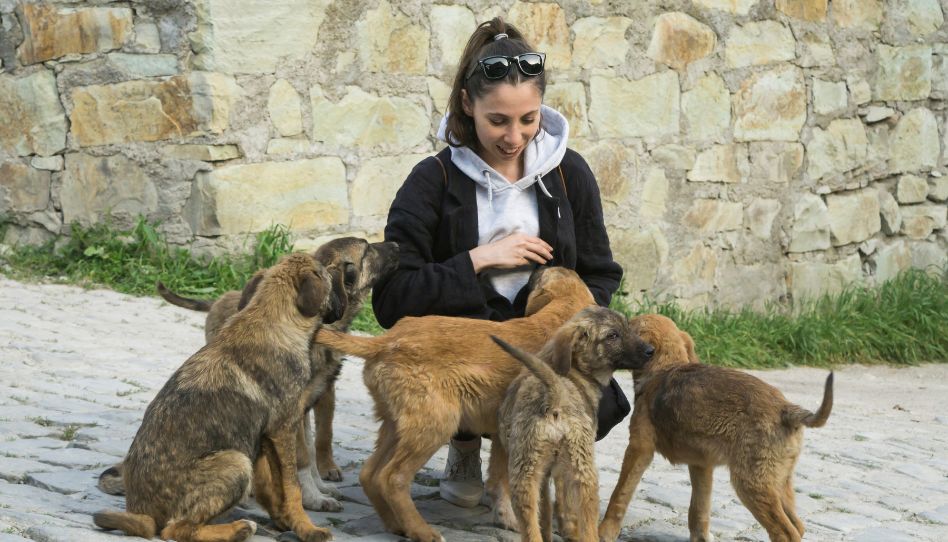 animal lover - ce que les écritures disent sur les animaux