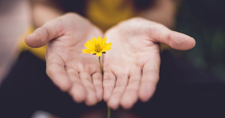 l'amour de dieu à travers des petites choses